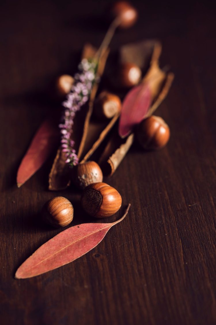 hazelnuts | Longevity LIVE