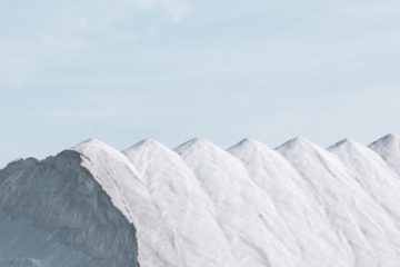 salt | Longevity LIVE