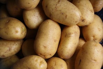 potatoes | Longevity LIVE