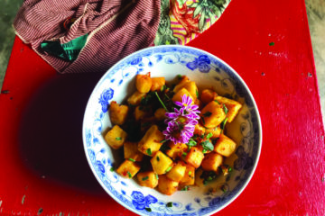 Burmese | Longevity LIVE