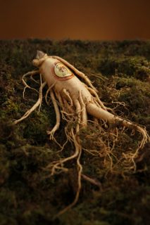 spices | Longevity LIVE