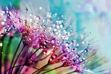 hyaluronic acid | Longevity LIVE