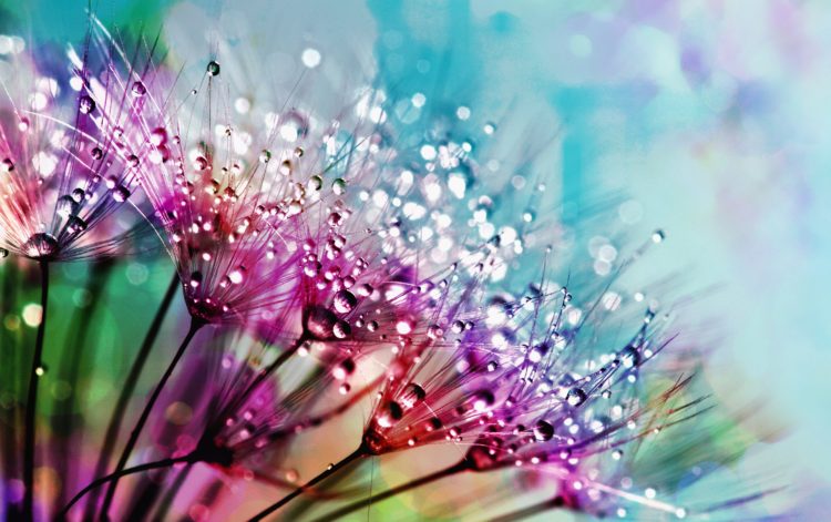 nature's beauty box hyaluronic acid | Longevity LIVE