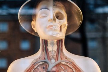 COPD | Longevity LIVE