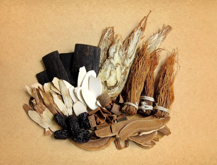 ginseng | Longevity LIVE