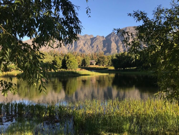 retreat | Longevity LIVE