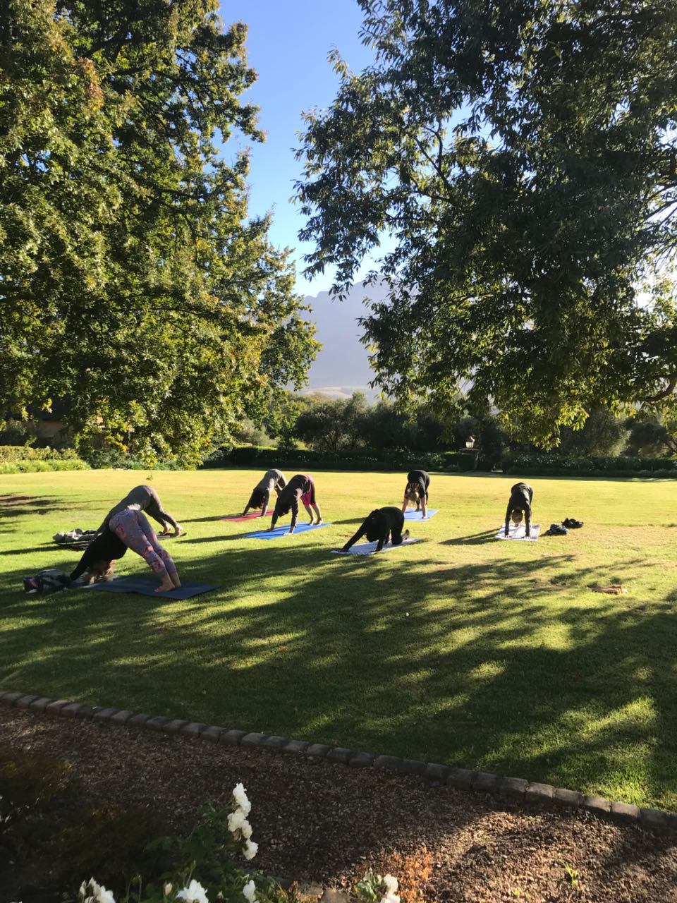 retreat | Longevity LIVE