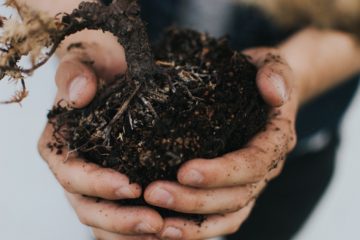 eco-friendly | Longevity LIVE