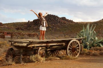 Karoo | Longevity LIVE