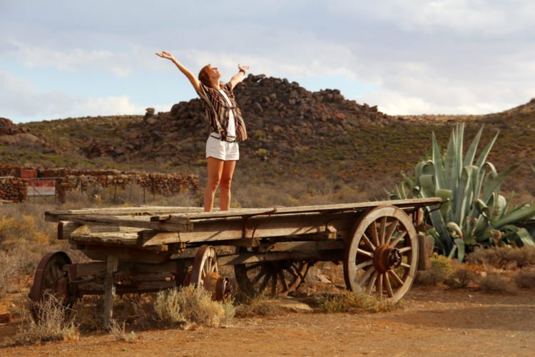 Karoo | Longevity LIVE