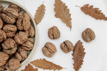 nuts | Longevity LIVE