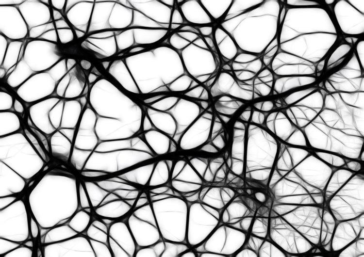 neurotoxins | Longevity LIVE