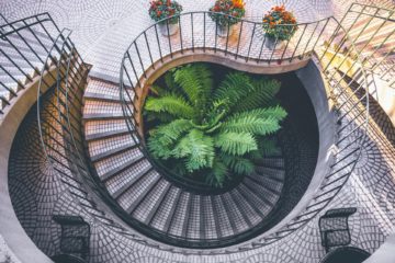 nature | Longevity LIVE
