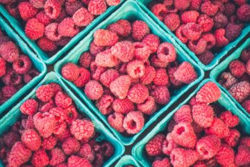 food | Longevity LIVE