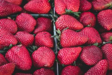 strawberries | Longevity LIVE