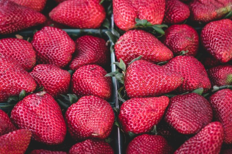 strawberries | Longevity LIVE