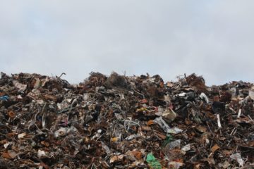 microplastics | Longevity LIVE