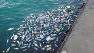 microplastic | Longevity LIVE