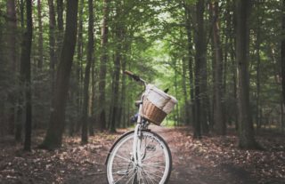 de-stress | Longevity LIVE