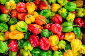 stuffed peppers | Longevity LIVE