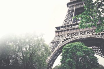 Paris | Longevity LIVE