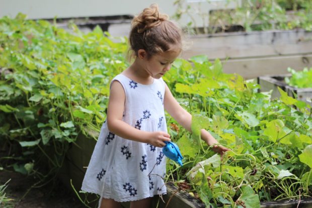 gardening | Longevity LIVE