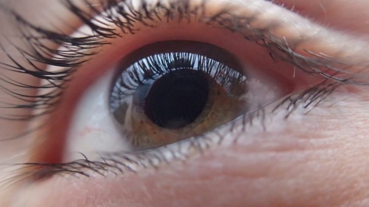 eye | Longevity LIVE
