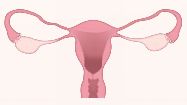cervical health | Longevity LIVE