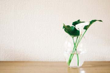 plants | Longevity LIVE