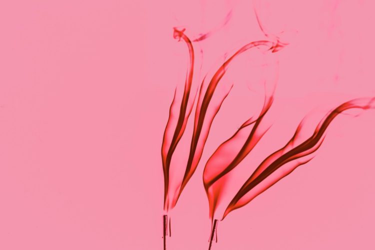 leukaemia | Longevity LIVE