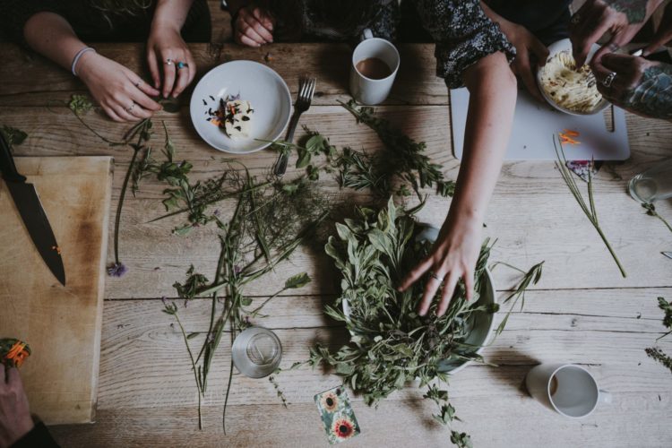 adaptogens | Longevity LIVE