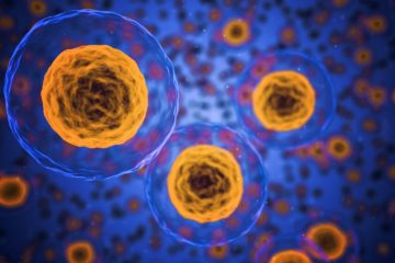 immunotherapy | Longevity LIVE