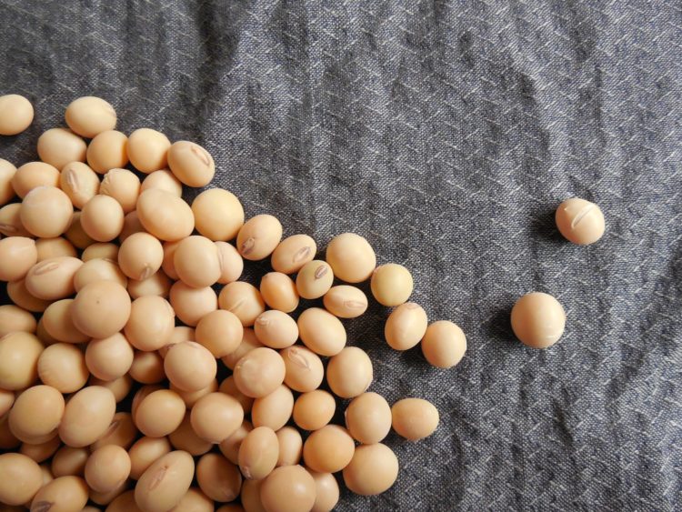 Phytoestrogens | Longevity LIVE