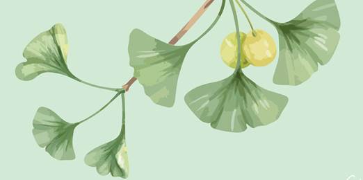 Plant Extracts