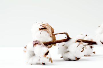 Organic tampons