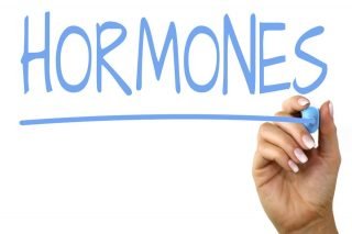 endocrine | Longevity LIVE