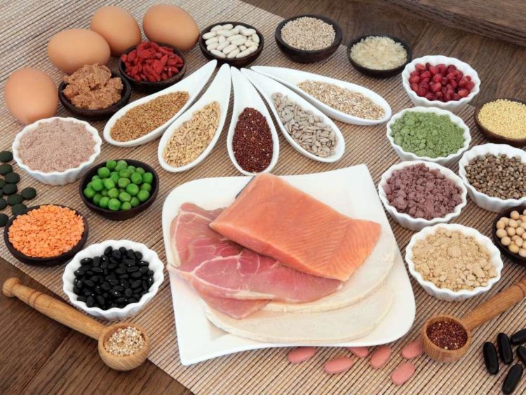 protein | Longevity LIVE