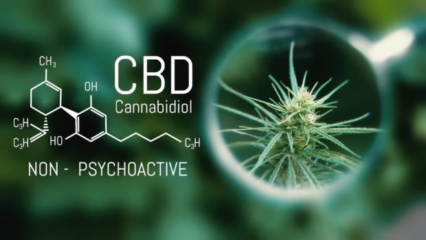 CBD | Longevidade AO VIVO