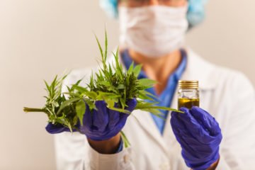 Endocannabinoid | Longevity LIVE