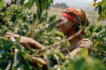 African coffee | Longevity LIVE