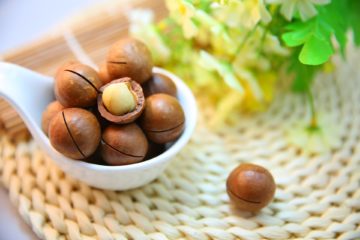 macadamia | Longevity LIVE