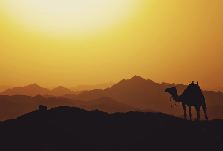 desert milk | Longevity LIVE