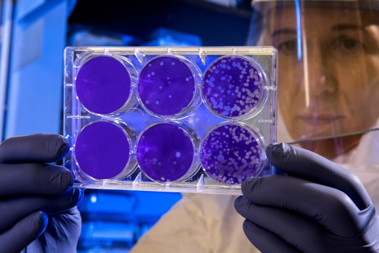 Coronavirus | Longevity LIVE