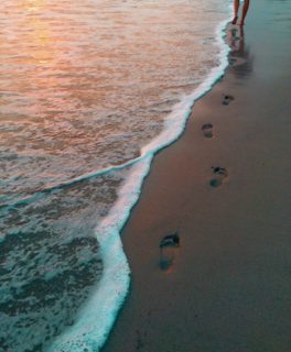 Costa Rica | Longevity LIVE