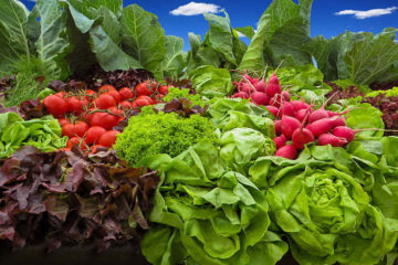 Superfood garden