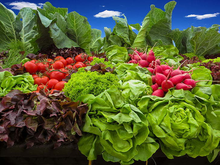 Superfood garden
