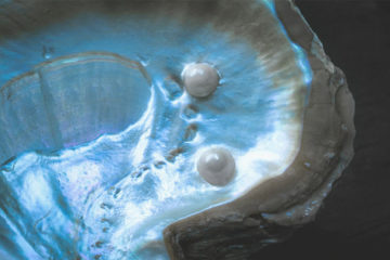 Pearl Powder