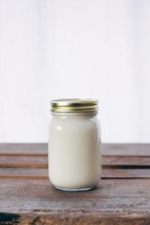plant-based pea protein milk benefits [longevity live]